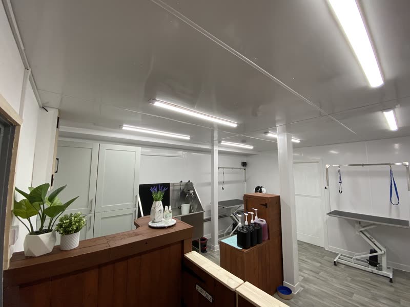 Inside the grooming salon: a wooden reception counter with potted plants, white panelled walls, and a stainless steel grooming table and bathing station at the back