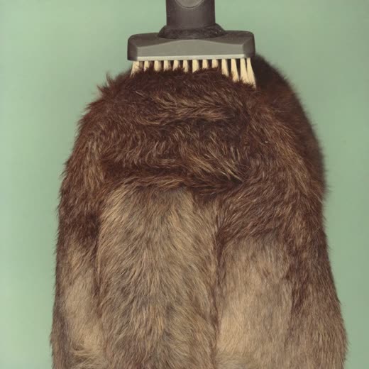 A brush working loose fur out of a thick dog coat